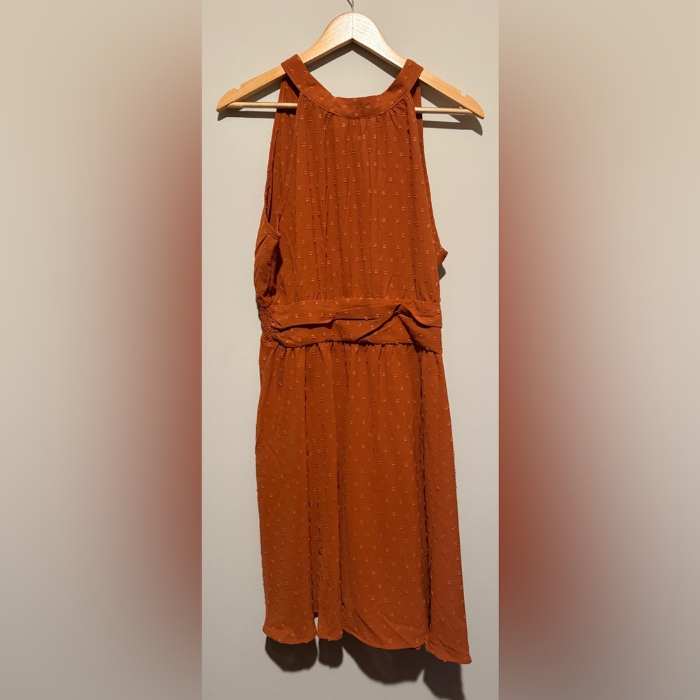 Elegant Rust Orange Sleeveless Dress